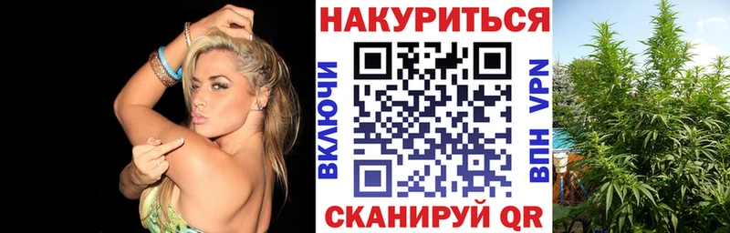 Где купить наркоту Змеиногорск NBOMe  Галлюциногенные грибы  Кокаин  Меф мяу мяу  ГАШ  hydra ссылки  A PVP  Канабис 