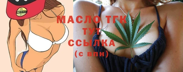 прущий лед Вяземский
