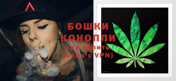 прущий лед Вяземский