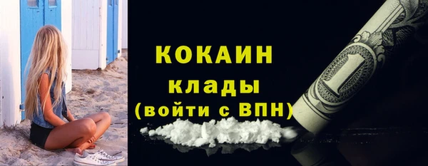 прущий лед Вяземский