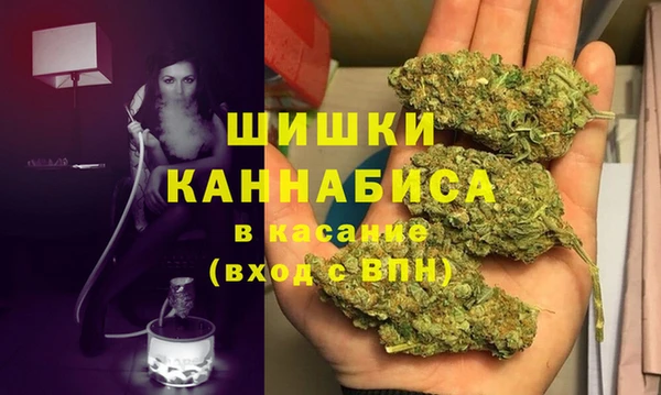 прущий лед Вяземский