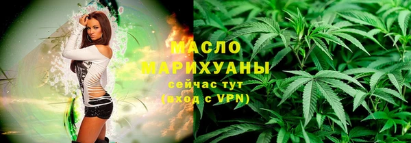 прущий лед Вяземский