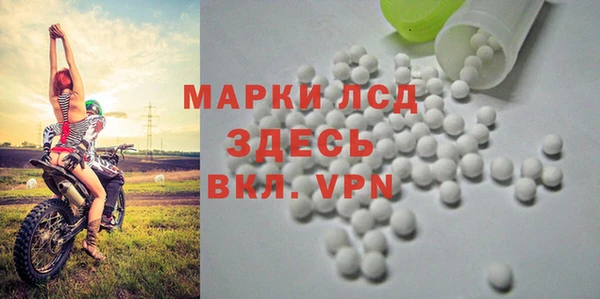 мдпв Михайлов