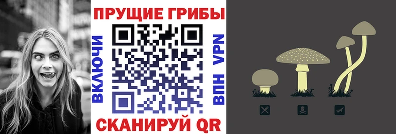 МЕГА ONION  shop какой сайт  Псилоцибиновые грибы мицелий  Змеиногорск 